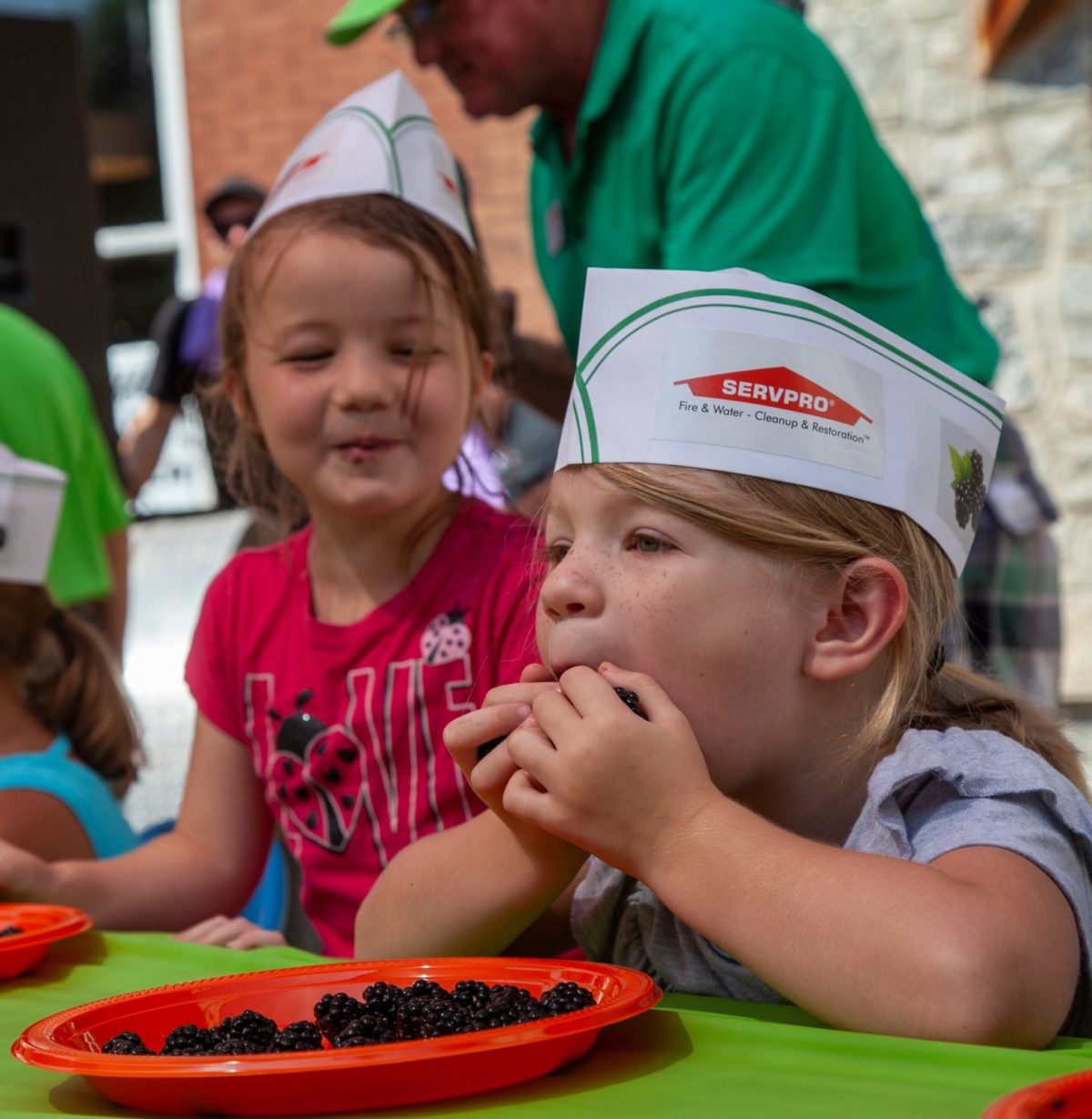 NC Blackberry Festival Downtown Lenoir